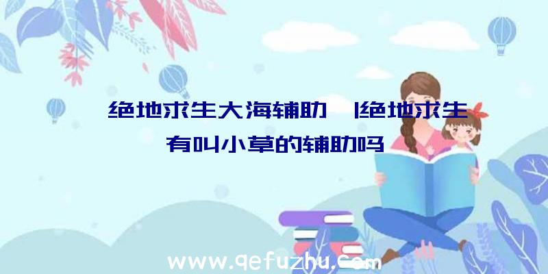 「绝地求生大海辅助」|绝地求生有叫小草的辅助吗